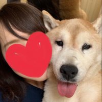 いち★(@shibainuichi) 's Twitter Profile Photo