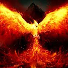 davirru07's profile picture. https://t.co/laTMPLXAFK