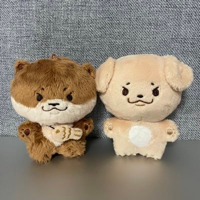 SVT디노10cm 수달 인형🦦&10cm 골댕이 인형🦮/문의는 프로필 하단 링크 푸슝 또는 디엠