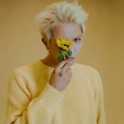 winner svt