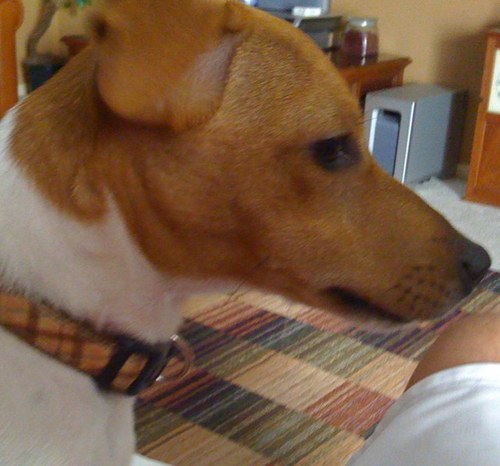 Mr. Ruggles (@SenorRuggles) | Twitter