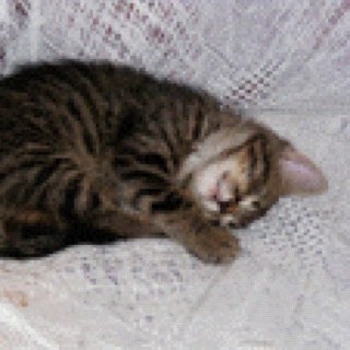 ladycelestine's profile picture. I'm just me