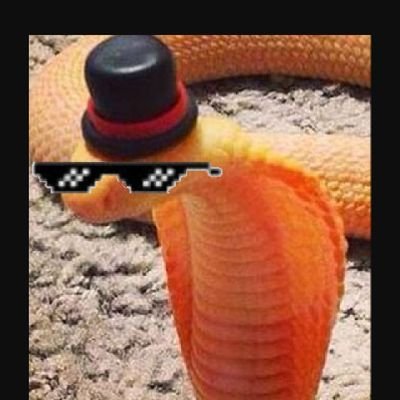 mapmister1's profile picture. 