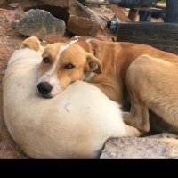 prince victor (@princev73026391) 's Twitter Profile Photo