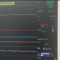 Stephan Venter (@stephan12230233) 's Twitter Profile