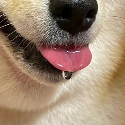 merejinji's profile picture. 