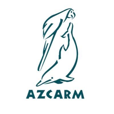 azcarmx Profile Picture