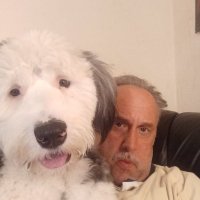 Lovable Liberal and his Old English sheepdog(@DougWahl1) 's Twitter Profile Photo