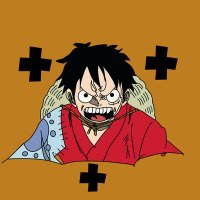 Luffy +++ (@luffyplusplus) Twitter profile photo