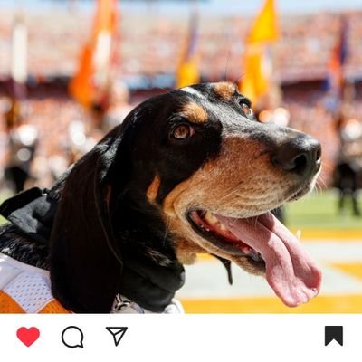 Brianjames372's profile picture. working for dominos except pizza delivery driver