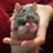 satoshitakeru's profile image