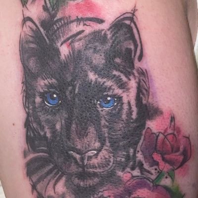 @tattsandcats