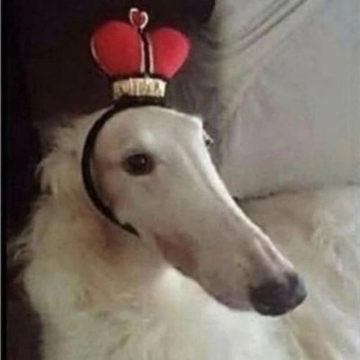 CaptainDoge172's profile picture. minor
he/him