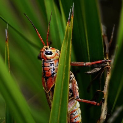 I am an outdoorsman. I am fascinated and humbled by the infinite colors & textures.