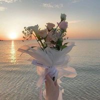 Shorouk Bahaa (@bahaa_shorouk) 's Twitter Profile