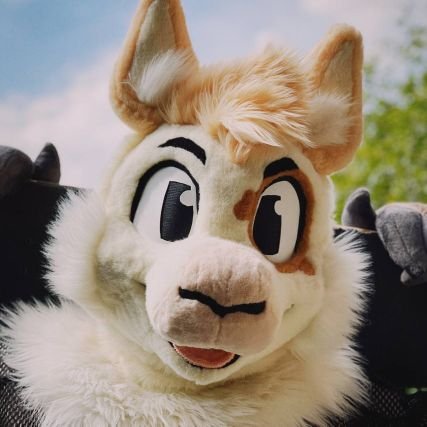 Fursuit account for Olli the Alpaca, owned/suited by @braeburned ! Sometimes NSFW 🔞. Fursuit by @mackoolzie (foam head base by @moopdrea !) pfp by @echocanidae