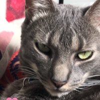 Punto Ciego (@quemiras_ba) 's Twitter Profile Photo Punto Ciego (@quemiras_ba) 's Twitter Profile Photo