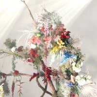 ぴーなꪔ̤̮ (@mofpi7) 's Twitter Profile