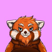 The Algo Red Panda (@algo_red_panda) 's Twitter Profile