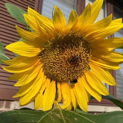 SusanKarmazenuk's profile picture. Widow since 2014, Dyslexia is a challenge that needs more awareness. Be kind to others, you don’t know what they are going through. I LOVE♥️SWAT♥️.