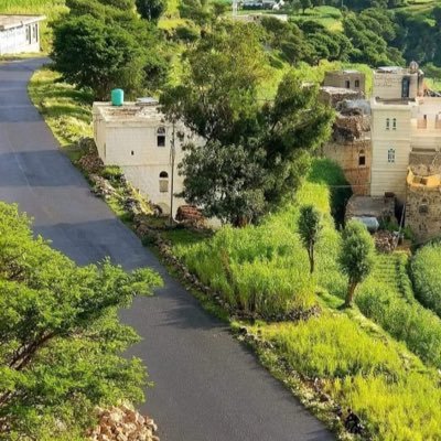 MohammedTair15's profile picture. I am not like anyone else