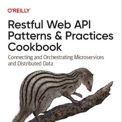 RESTful Web API Patterns & Practices Cookbook