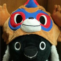 ふじやま (@exp_fujiyama) 's Twitter Profile Photo