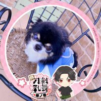 みぃ (@love1hosizora) 's Twitter Profile Photo みぃ (@love1hosizora) 's Twitter Profile Photo