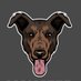 Monster Tooth Studios (@mtoothstudios) Twitter profile photo Monster Tooth Studios (@mtoothstudios) Twitter profile photo