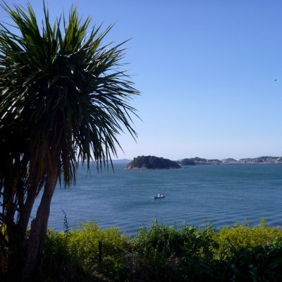 mgwgwk's profile picture. 