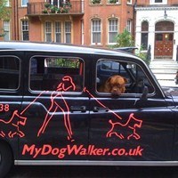 LDN's Best Dog Walking/Hotel Team. The Only Private 15 Acre 5* Secure Facility Only 15 Mins From Putney Bridge. 07921-121338.