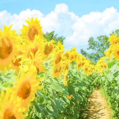 kana_ohana07's profile picture. 13歳差カップル
彼氏と同棲中❍｡ 

色んな方の惚気を見たい……

💍2021.6.23～