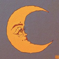 🌙✨ (@wordsofquiet) 's Twitter Profile Photo