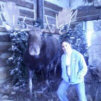 Mooses (@peat_moose) 's Twitter Profile