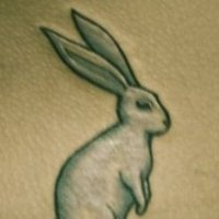 thewhiterabbit (all roads lead to the ๐) (@whiterabbit_010) 's Twitter Profile