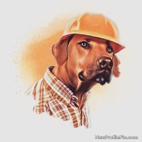 Taxation is Theft (@homebuilderguy2) 's Twitter Profile