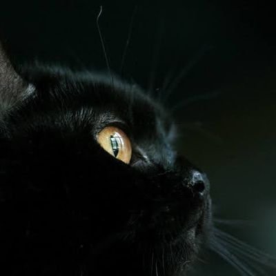 fuck off