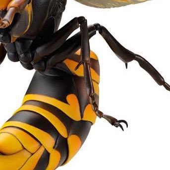 jewelvox's profile picture. 罰が当たり人間の姿にさせられました。#SkebeTeam #泥和会