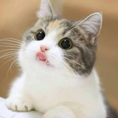 hastaelfinal182's profile picture. 