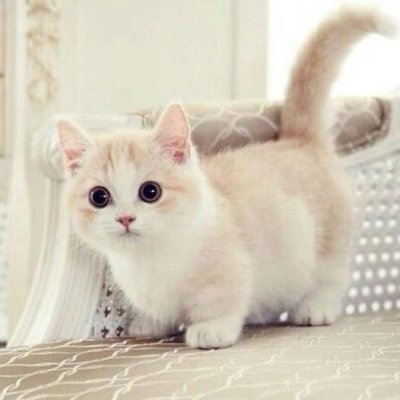 sangem0a's profile picture. #MintSquare
@FocusOnVaissel