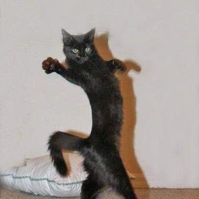 ToTowanttoeatu's profile picture. 