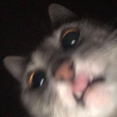 veroneting1's profile picture. 지나가는 이방인.