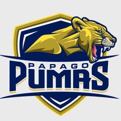 Home of the Papago Pumas Junior College Football Team/Member of the @HJCAC/2021 HJCAC Champions #DEVELOPMENTU