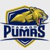 Papago Pumas JUCO Football Program (@PapagoPumas) Twitter profile photo