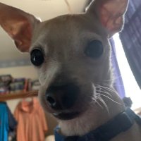Michael Martin (@mikemd845) 's Twitter Profile