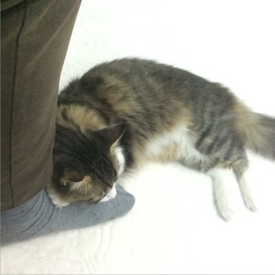 eren_233's profile picture. 