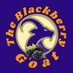 The Blackberry Goat (@blackberrygoat) Twitter profile photo The Blackberry Goat (@blackberrygoat) Twitter profile photo