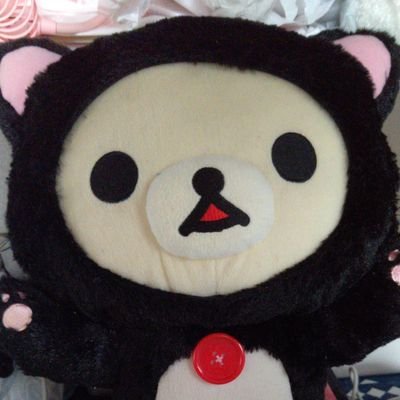 宍戸 千恵さんのプロフィール画像