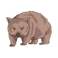 Wise-Arch (@arch_wise) 's Twitter Profile