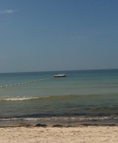 ChappyBeachGirl's profile picture. I love cooking, drinking wine, anything Italian and Cape Cod; I'm a Jack Russell mommy, friend, daughter and sister